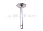 Car Spare Parts Swirl Polished Diesel Engine Valve E13 E15 Intake Valve And