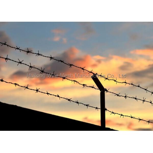 High Tensile Strength Prison Barbed Wire , Airport Razor Wire Coil 2