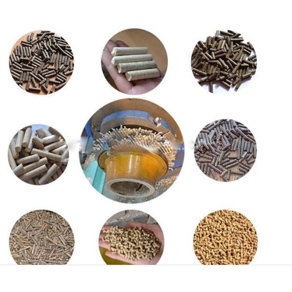 Poulty Pet Food Making Machine / Production Line / Food Processing Unit Steady Performance