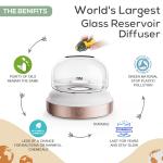 200ml Ultrasonic Glass Essential Oil Diffuser ▕ DN-851