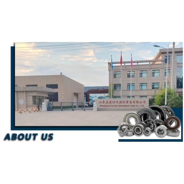 Deep Groove Ball Bearing Angular Contact Ball Bearing Insert Bearing Thrust Ball Bearing Aligning Ball Bearings