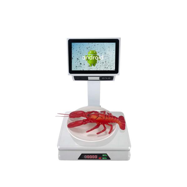 All in One Inch Both Touch Screen Scale Digital Weight Machine Weighing Scale With Built-In 58mm Receipt Printer