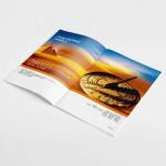 PP lamination Picture Book Printing Paperboard Custom Journal Printing