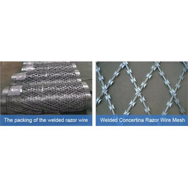 Cross Type Hot Dipped Galvanized Barbed Wire Razor Wire for Border Protection Fence