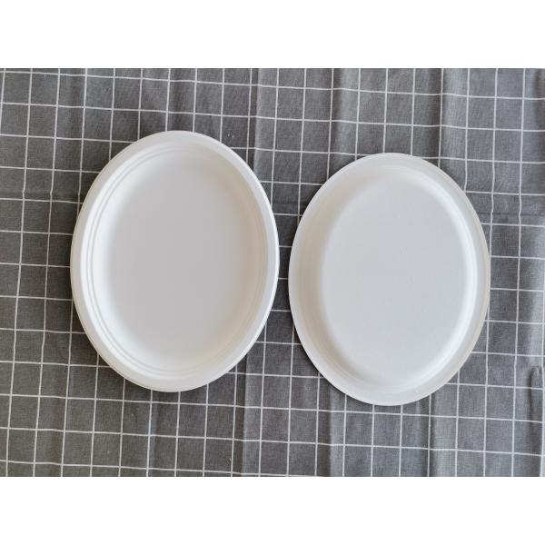12 Inch Oval Dinner Biodegradable Sugarcane Bagasse Plates