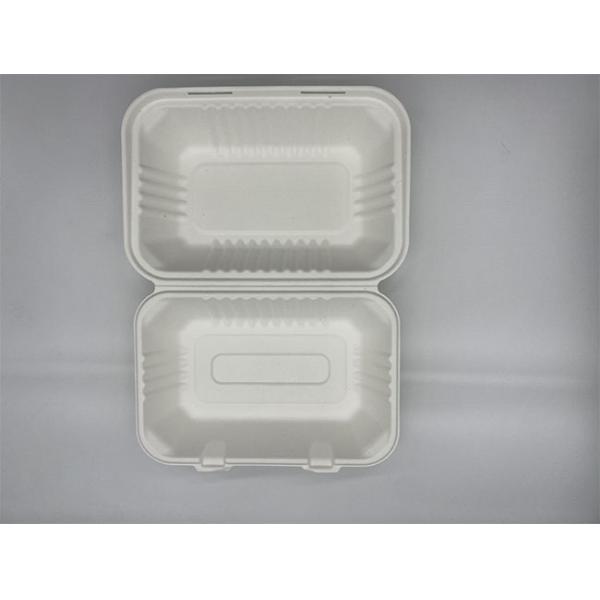 EN13432 9×6 Inch Natural Bio Food Packaging Boxes