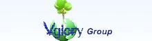 China Vgloryのグループ エネルギーCo.、株式会社 logo