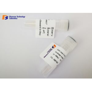 Buy cheap Highly Specific Mouse Source ING2 Rabbit Protein Monoclonal Antibody product