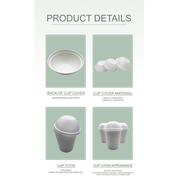 Bio Sugarcane Bagasse Cups