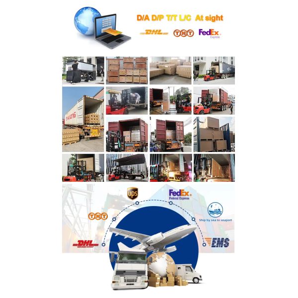 Full-Automatic DTF Printer with Multi Color Printing and 30cm Printing Width for Digital T-Shirt Printing