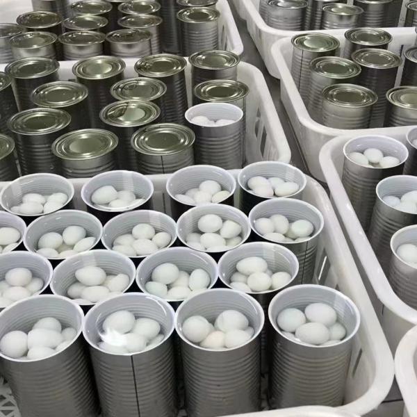 Halogen Seasonings Salted Pickled Quail Eggs