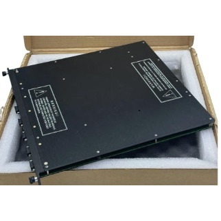 Invensys Triconex 8312 Power Supply Module with 14.8 V Output 230 VAC Input and 2.5 A Time-Delay Fuse