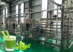 Safety Vegetable Processing Line Stable Performance Celery Processing Equipment
