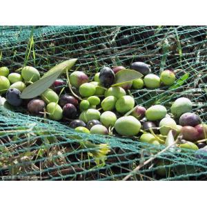 Raschel Warp Knitting Machine SRCP for Agriculture Nets