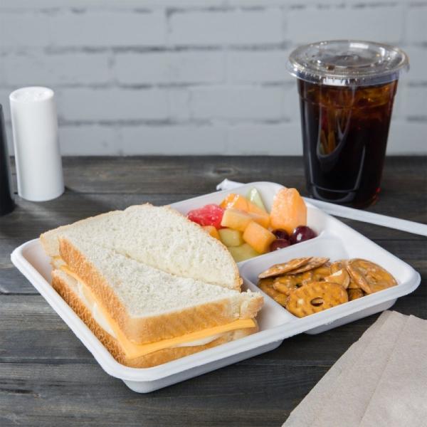 Harmless Compostable Party Tableware Sugarcane Bagasse Disposable Christmas Tray