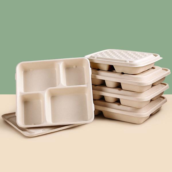 Disposable Rectangular Biodegradable Sugarcane Bagasse Trays Take Away Trays With Lids