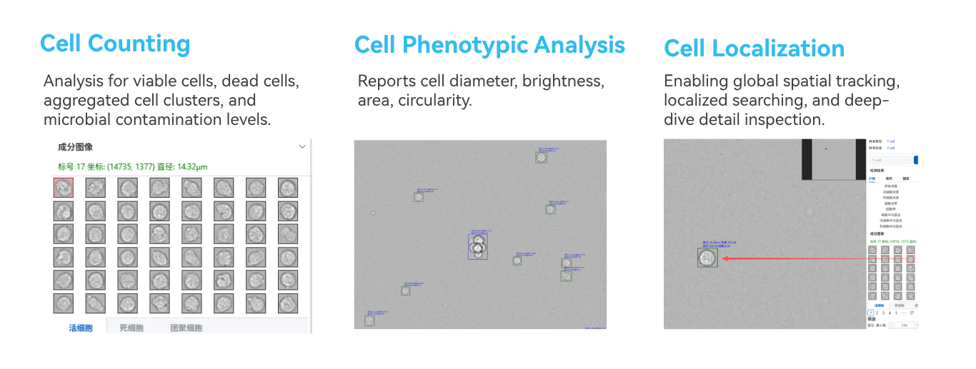 BC1600-Auto/Lite VPS Lensless Cell Imaging Analyzer for High-throughput Viability