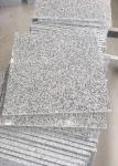 Light Grey / White Granite Stone Floor Tiles G603 Polished Flamed Slab Tile 60 X