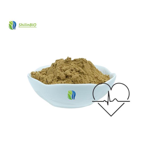 Quality Selenium Enriched Yeast for sale