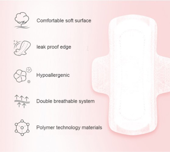Ultra Thin Anion Chip Sanitary Pad
