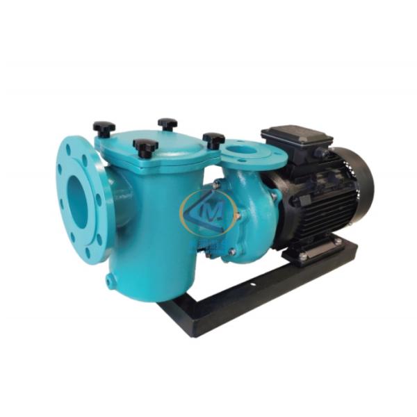 Vertical Horizontal Cast Iron Pump product view