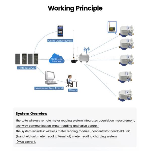 15mm Domestic Smart Digital Lora Remote Water Meter 3g Batch Control Water Meter