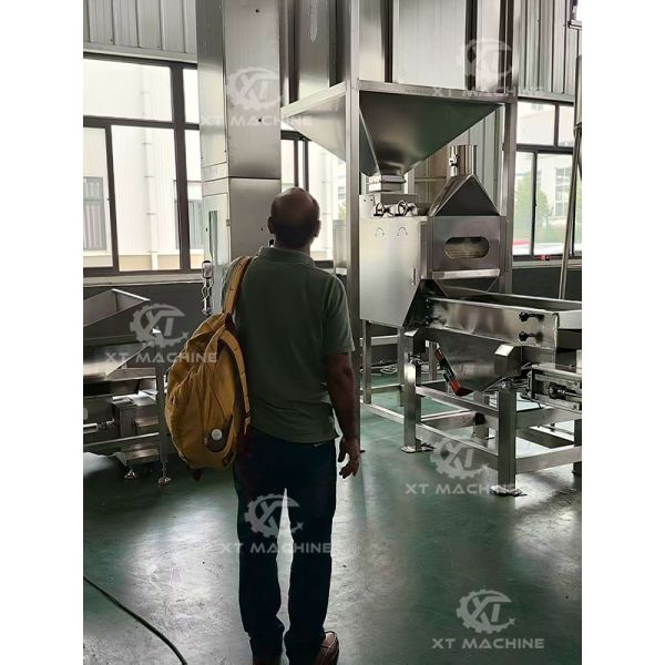 Split Peanut Blanching Machine Blanched Peanut Production Line With 100% Breaking Rate And 800-1000kg/h Capacity