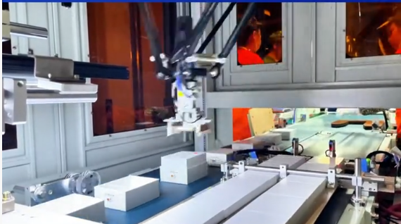 Low cost DS-D-B-1600 sorting robot packaging pick and place Robot Delta for product placing