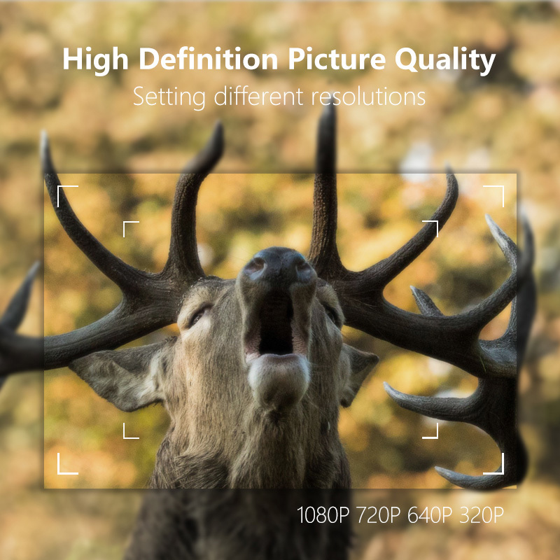 30MP Deer Trail Camera Megapixel Sensors Waterproof IP65 With SDHC Card