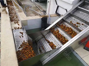 High Efficiency All In One Tomato Processing Equipment 2000T/D