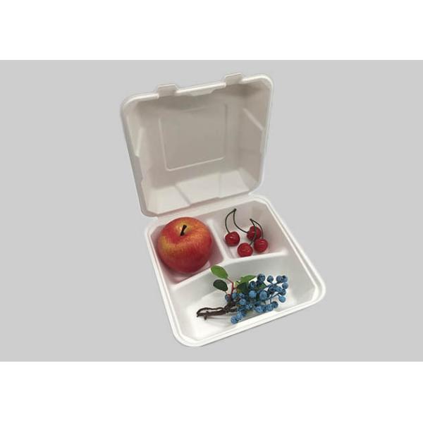 3 Compartment 1560ml 9×9 Inch Biodegradable Togo Boxes