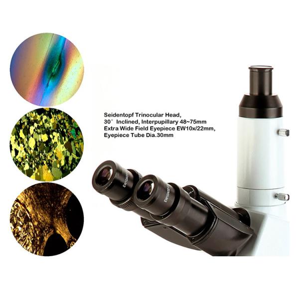 Comparison Polarizing Light Microscope Transmitted Light Microscopes CE A15.1019