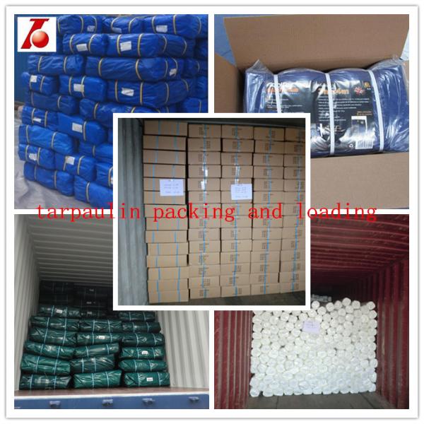 Both sides lamination PE Sheet waterproof woven fabric poly tarp