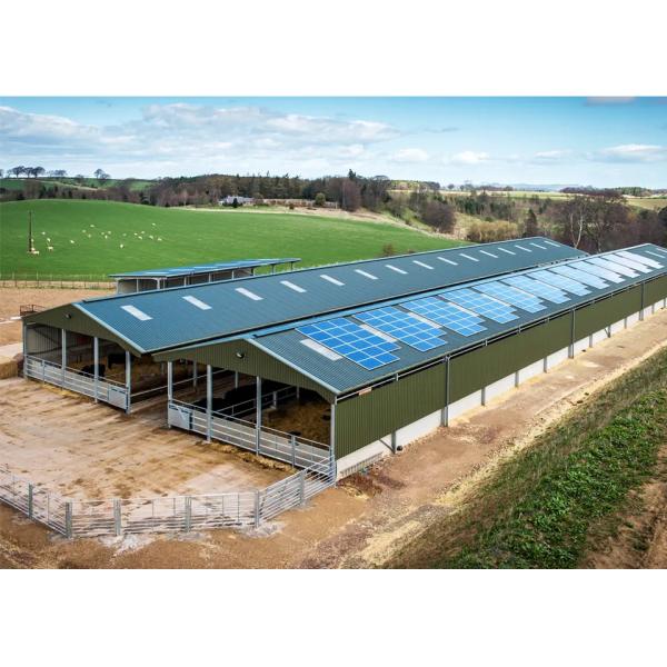 Prefabricated Steel Structure Livestock Shed Height 2-10 Meters For Pig Farm House