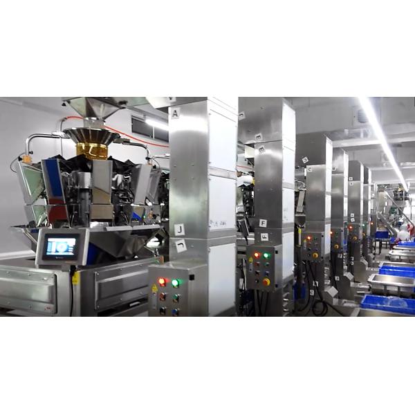 SUS304 Auto Weighing Filling Machine For Granulated And Powdered Products