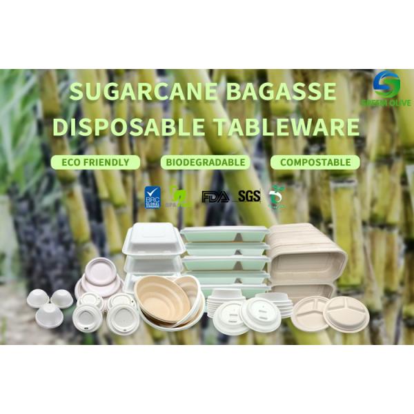 Eco Friendly Sugarcane Pulp Biodegradable Cups And Lids