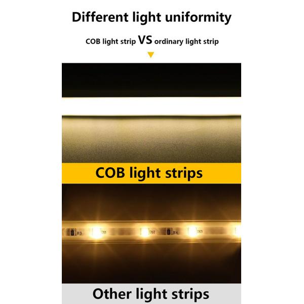 IP67 Waterproof 220V Dimmable LED Strip Lights 10W/M 180 Degrees Beam Angle