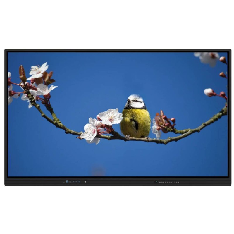 75 Inch Android OS Interactive Whiteboard with Wireless Projection for School and Conference
