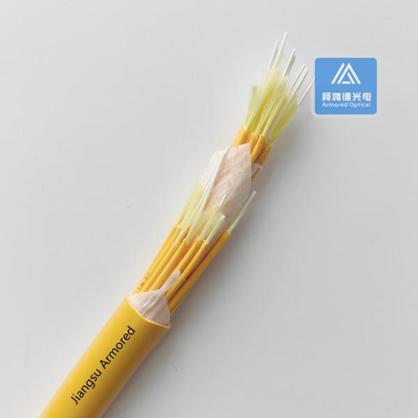 SM Branch 36 Core Fiber Optic Cable OrangeLSZH 16.5mm Break Out Data Center