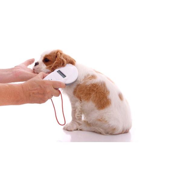 100*50mm EO Disinfection Injectable Pet Id Microchip