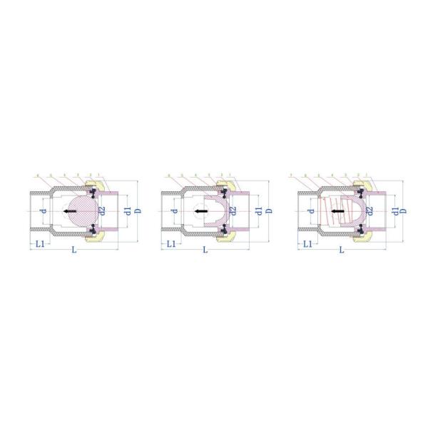 DDCV Double Lobe Function PPH Single Union Non Return Check Valve for Pipe System
