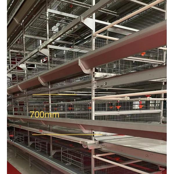 Low Labor 12-Tier Layer Chicken Cage System Efficient Space Usage