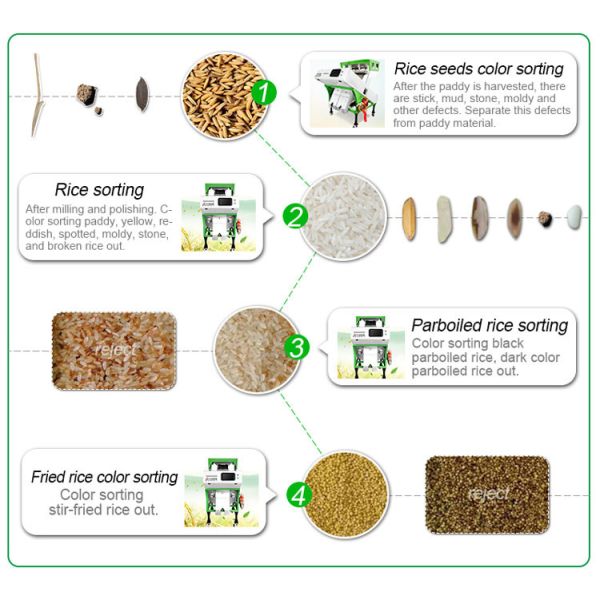 2 Channels Rice Sorting Machine