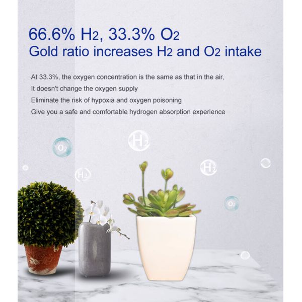Portable Hydrogen Inhalation Machine 99.99% Purity 900ml/min Flow