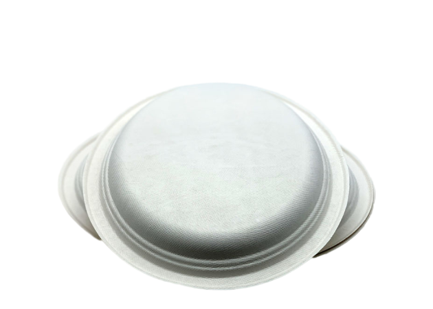 17g 10" Oval Biodegradable Sugarcane Bagasse Plates