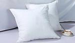 Square Cushion Duck Feather Filling Custom Throw Pillow Inserts / Feather Down