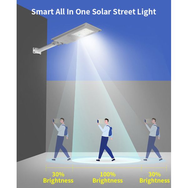 20 W 30 W 60 W High Power Solar Street Light LED Roadway lamp Daylight Control