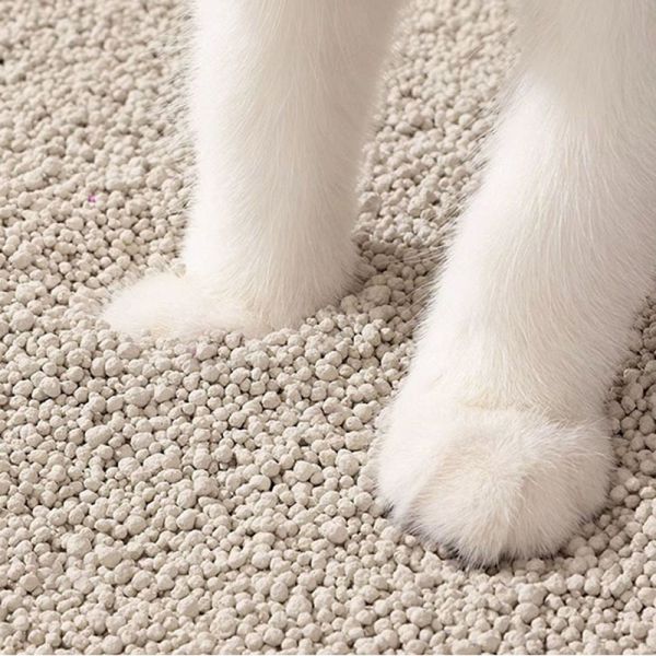 High Absorption Bentonite Cat Litter with Quick Clumping and Easy Scooping Technology