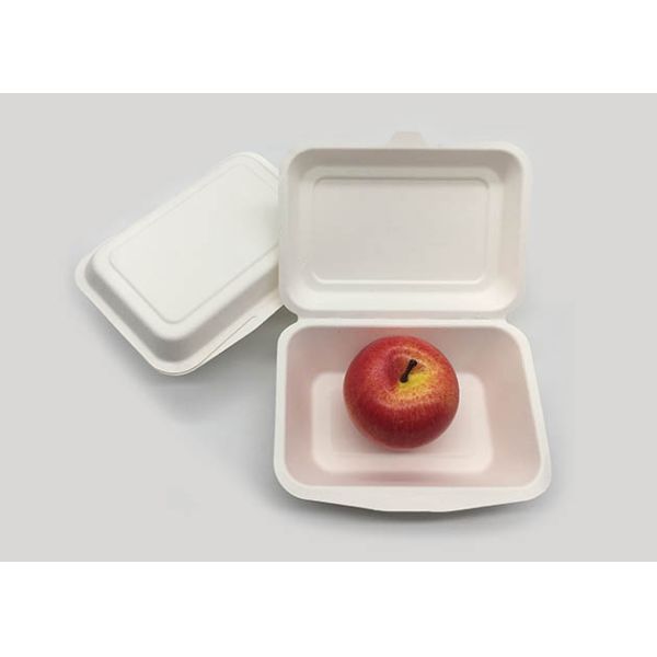 7×5 Inch Natural Biodegradable Takeaway Food Containers