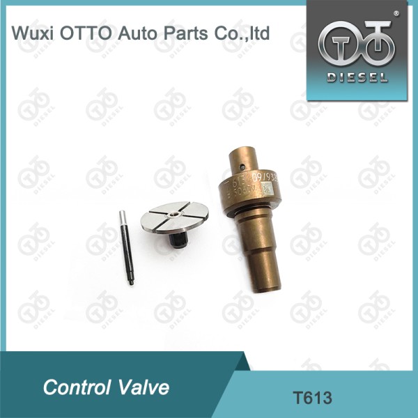 T613 Common Rail Control Valve Cap Applied 0445110551